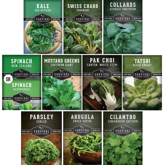 Power Greens Seed Collection – 10 Heirloom Non-GMO Leafy Green & Herb Varieties for Year-Round Nutrition