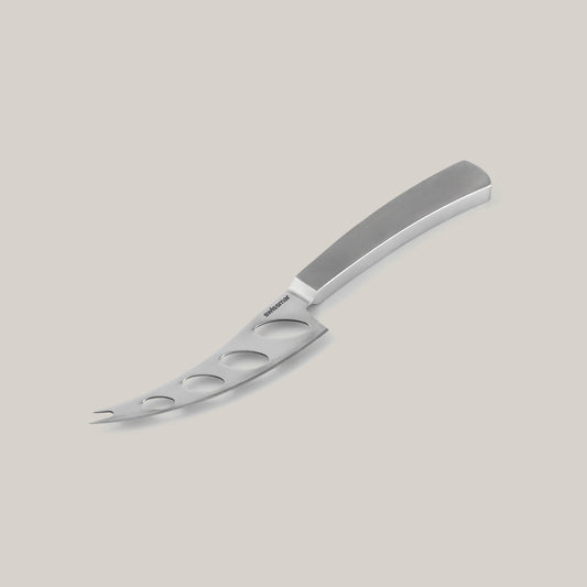 Barcelona Stainless Steel Moist Cheese Knife