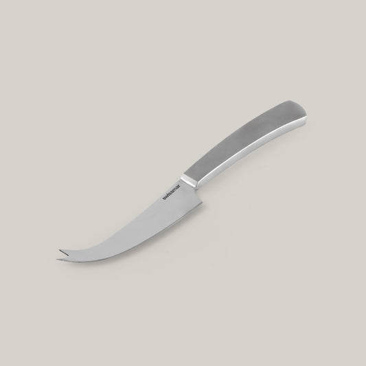 Barcelona Stainless Steel Universal Cheese Knife