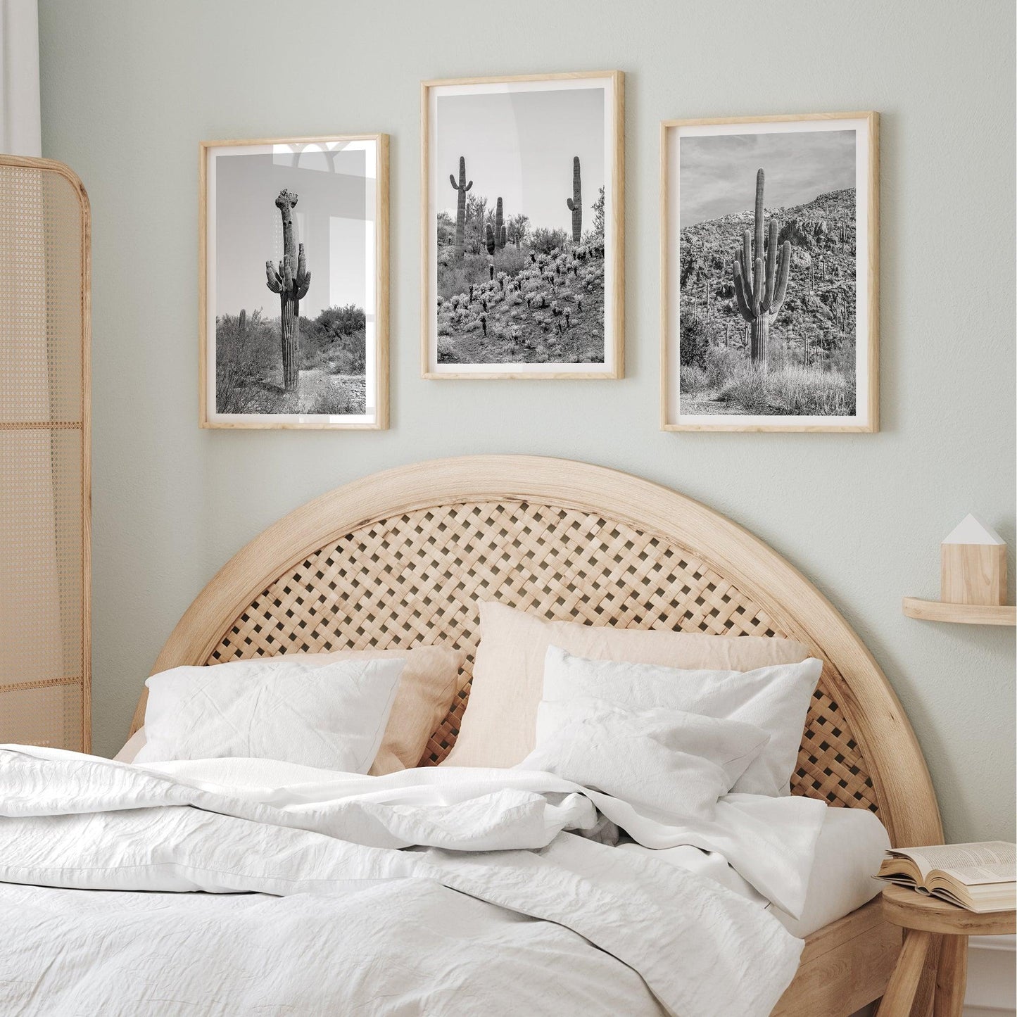 Saguaro Set