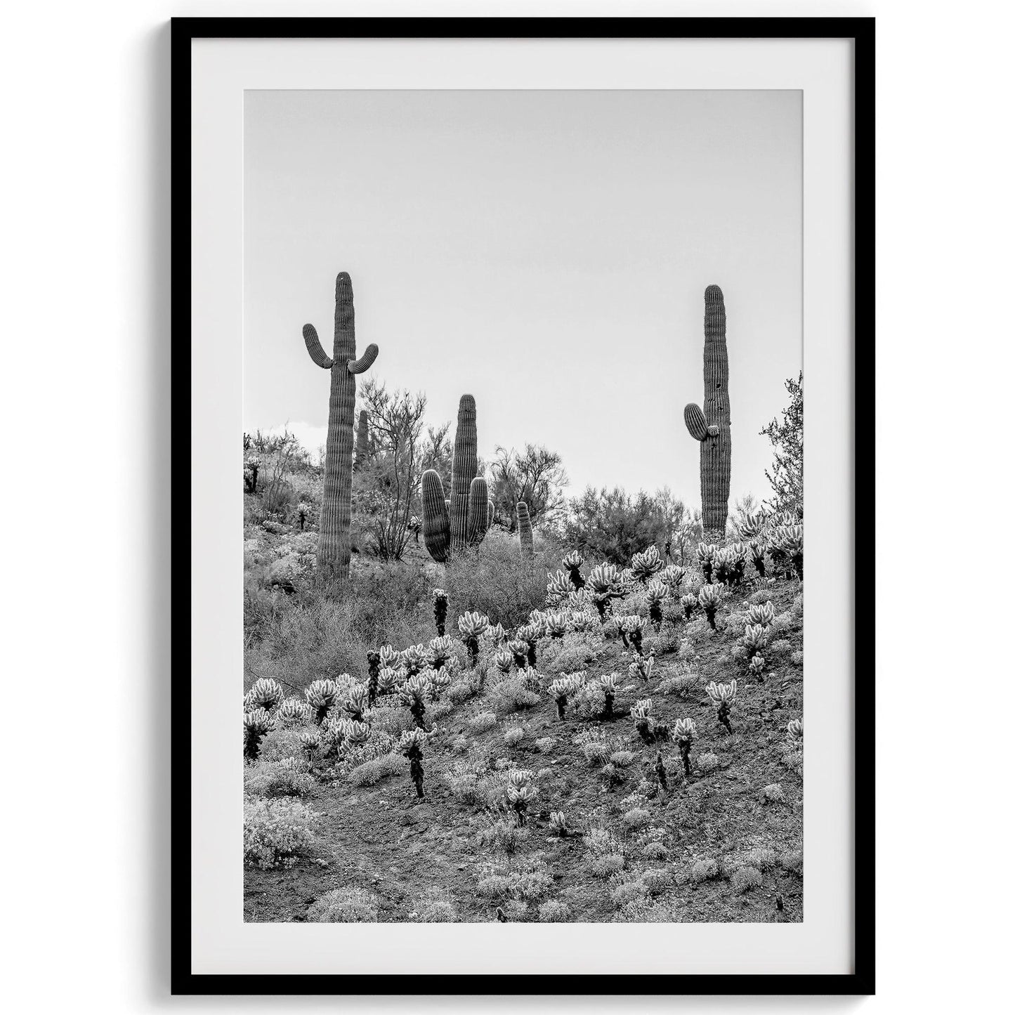 Saguaro Set