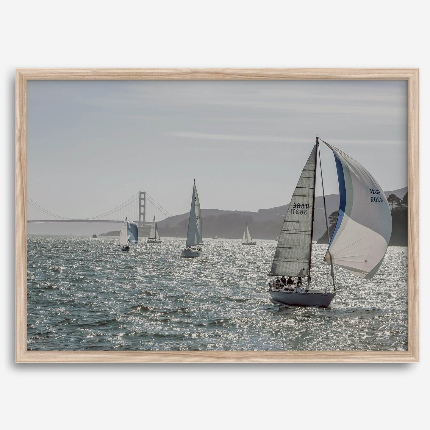 Bay Breeze