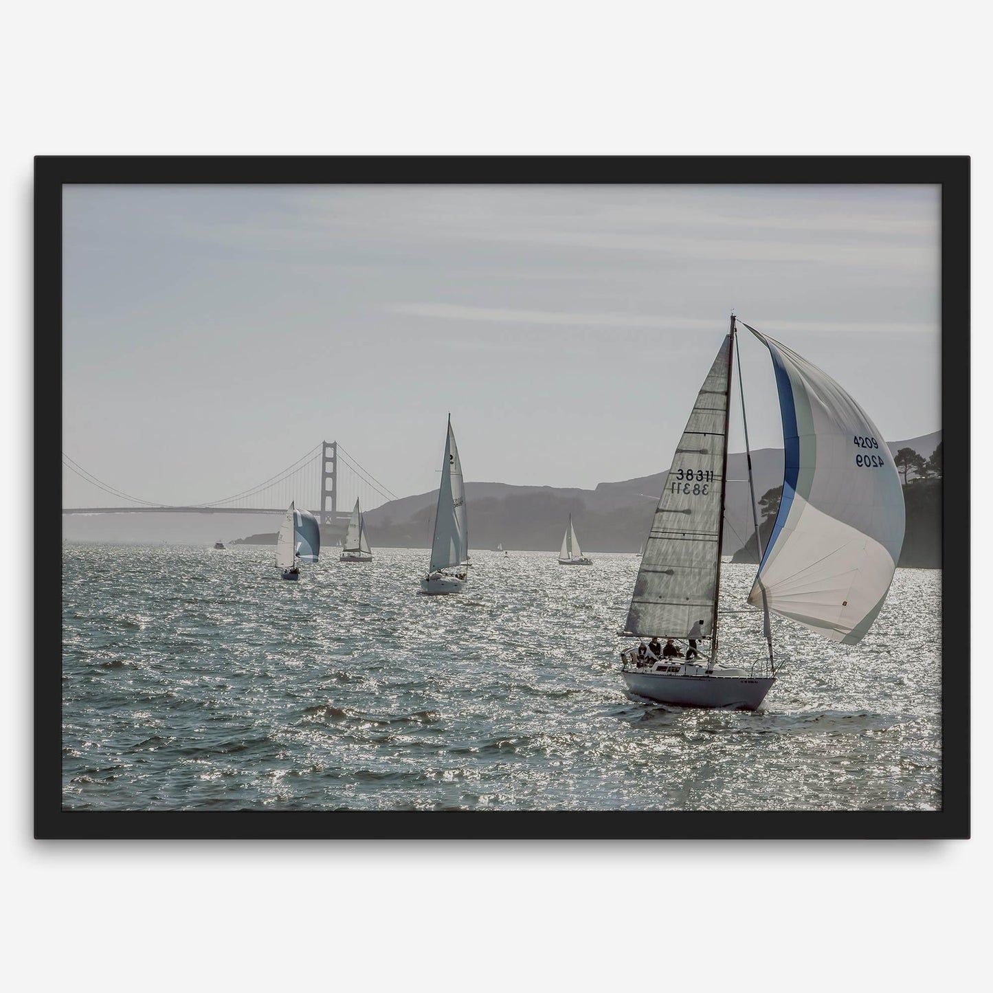 Bay Breeze