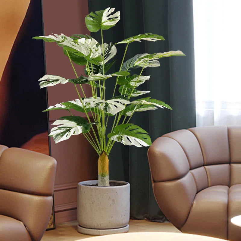 Dlight Decor Monstera Turtle Leaf Plant for Indoor and Garden Display