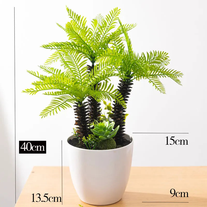 Dlight Decor Potted Palm Plant 33cm or 40cm with Succulents