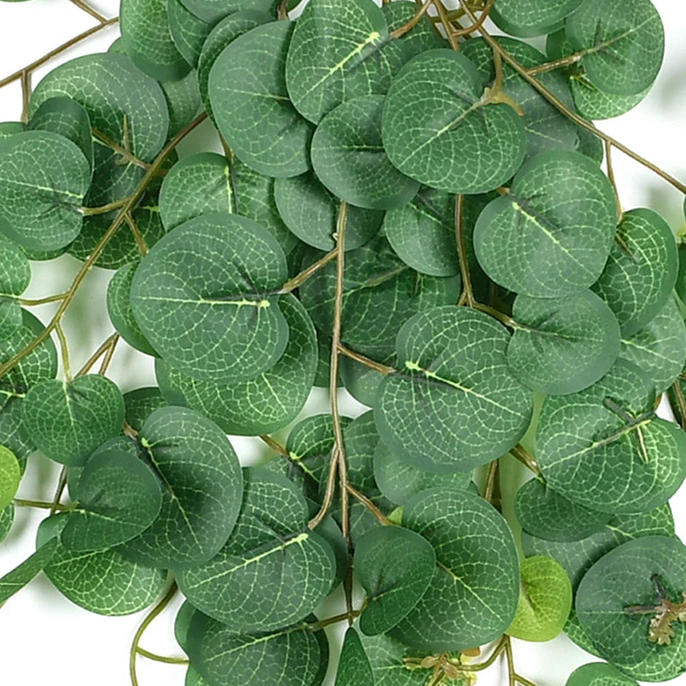 Dlight Decor Eucalyptus Begonia Vines for Hanging Garden and Wall Decor