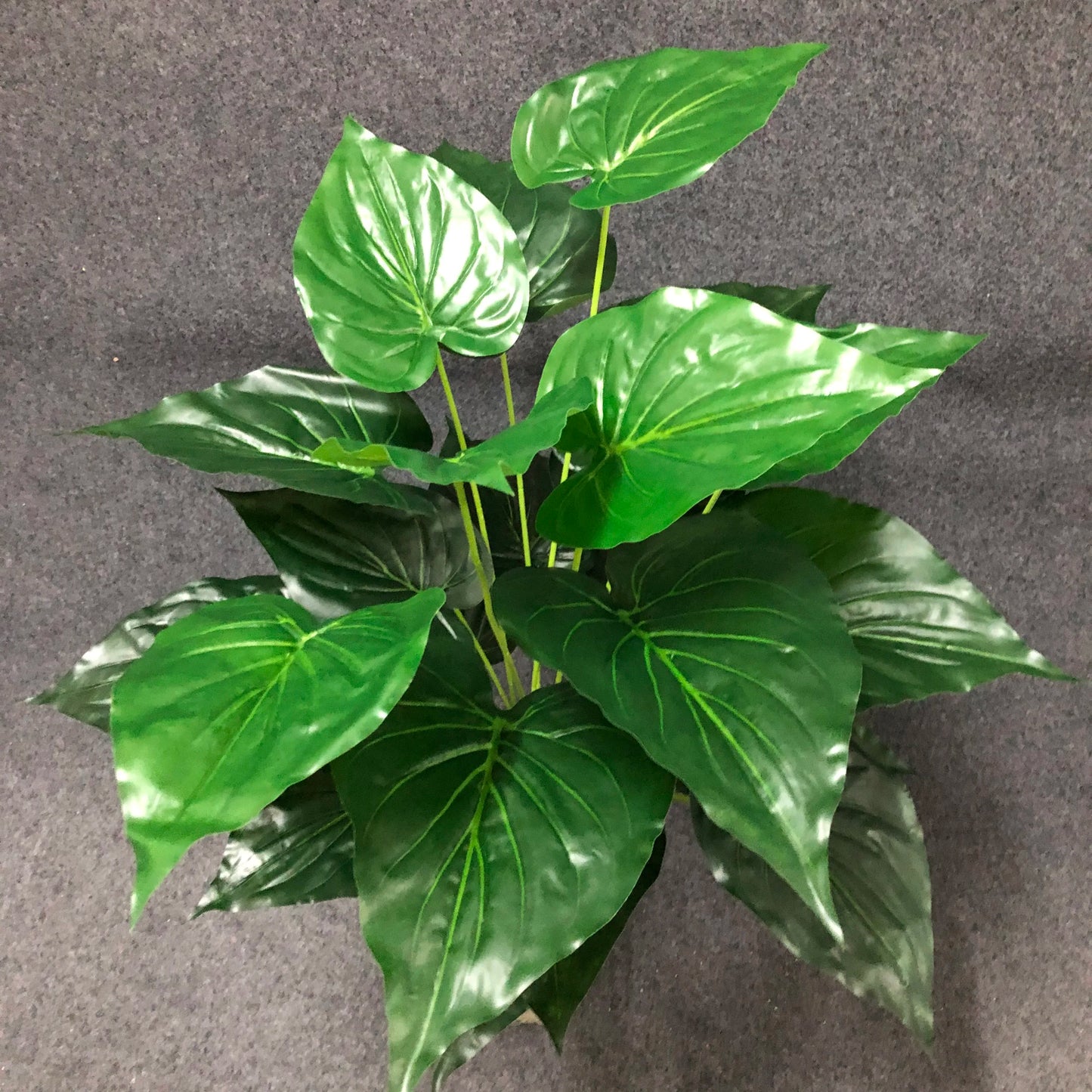 Dlight Decor White Monstera Palm for Bold Floor Styling