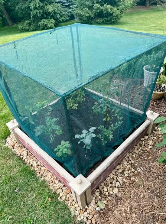 Nancy's Garden Prefabricated Concrete (GFRC) Garden Bed