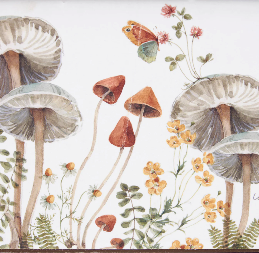 Mushroom Study Bin