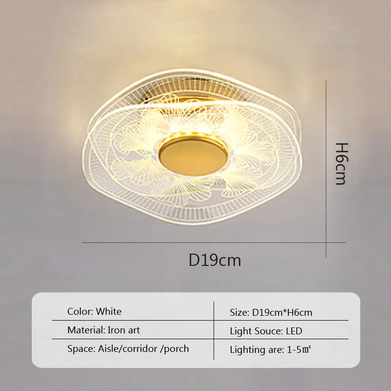 LED Ceiling Light Acrylic led ceiling Lamp Living Room Bedroom Creative Lamp Minimalist Balcony Cloakroom Lighting Fixture
