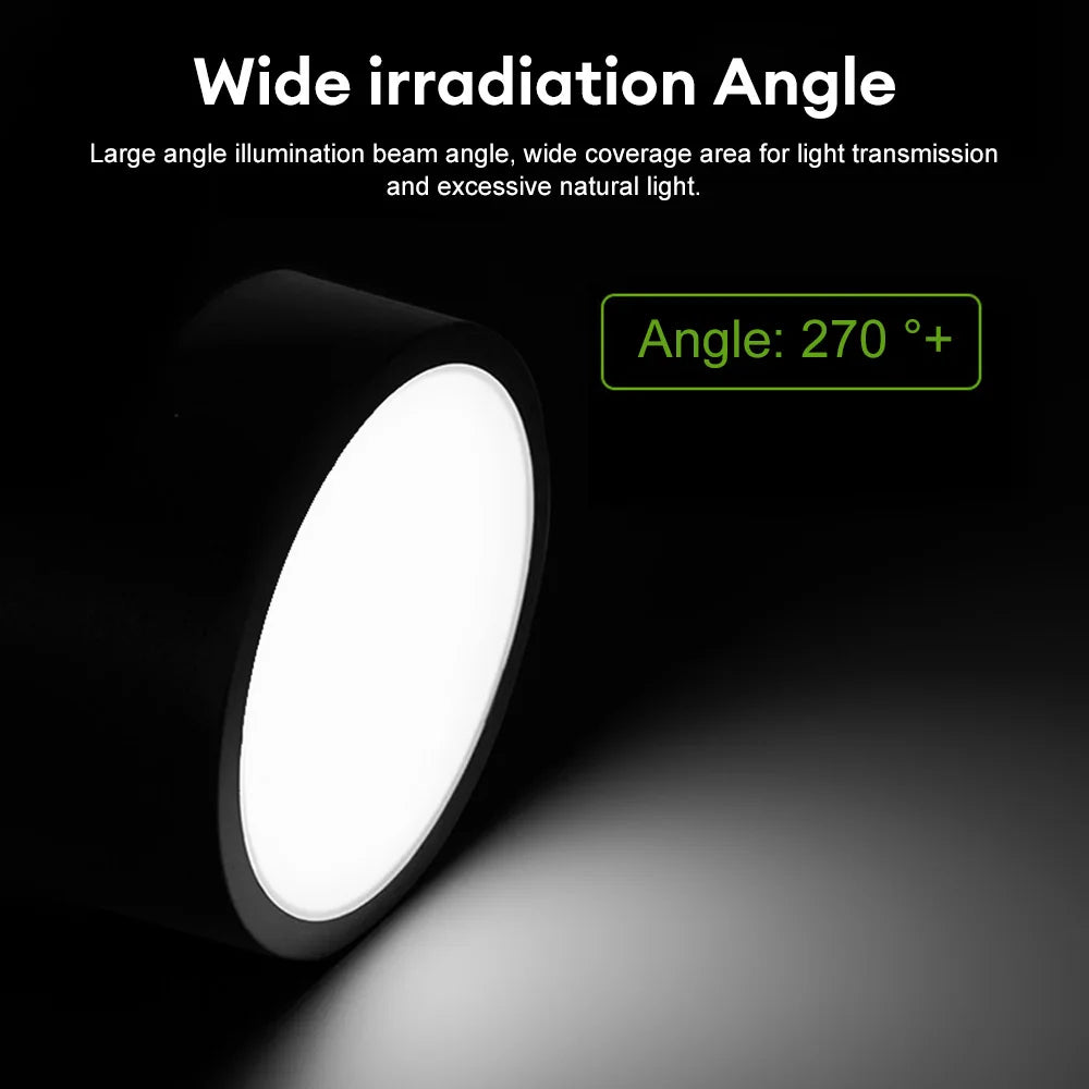 90-250V LED Ceiling Light - Choose from 5W or 10W - Surface Mounted Downlight for Stylish Indoor Illumination