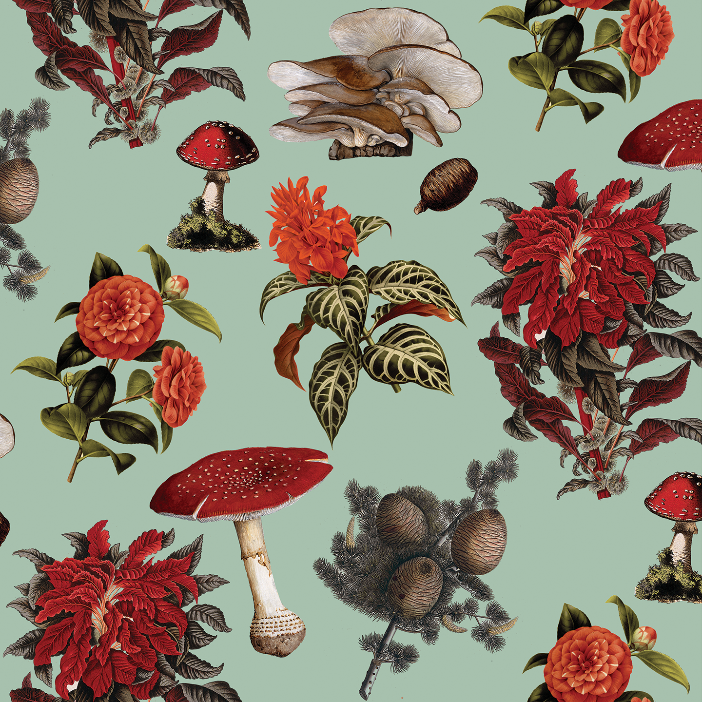 Mushrooms Wallpaper, mint and red