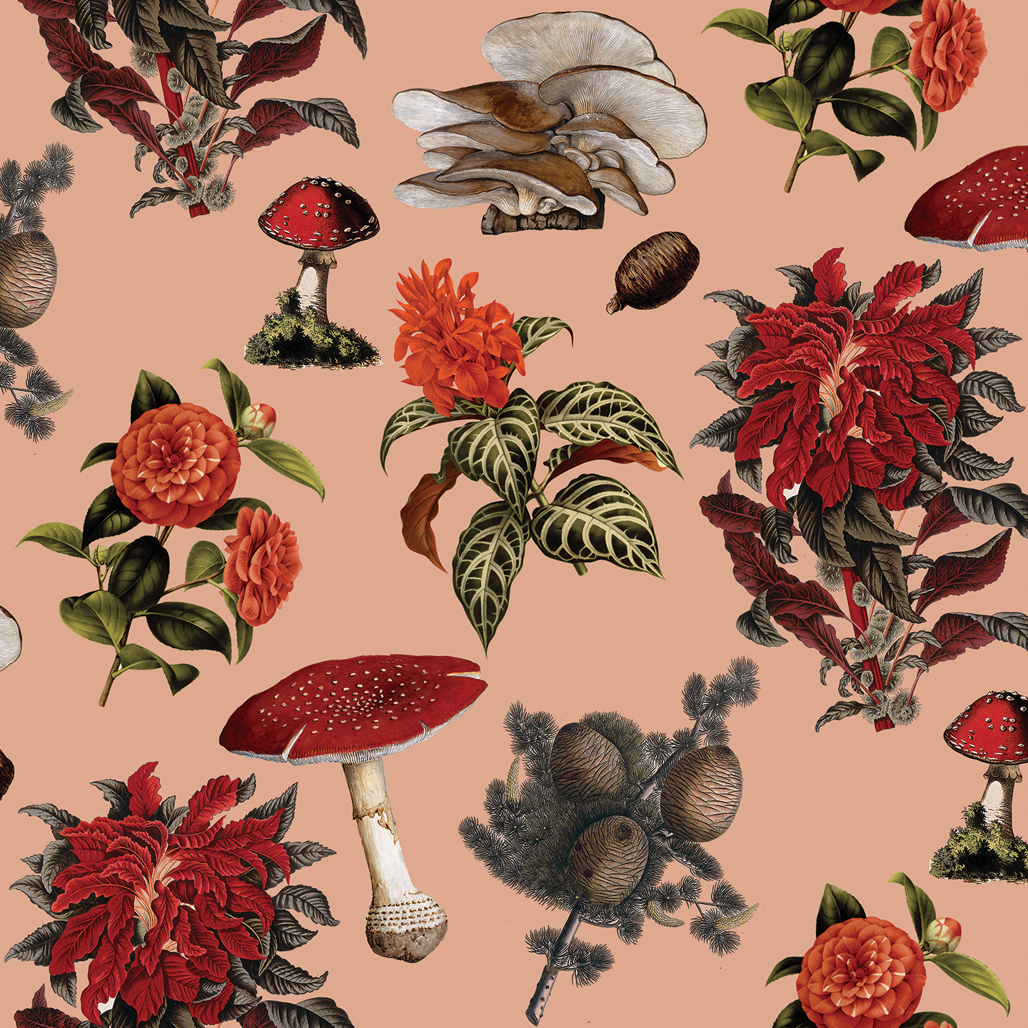 Mushrooms Wallpaper, peach and red