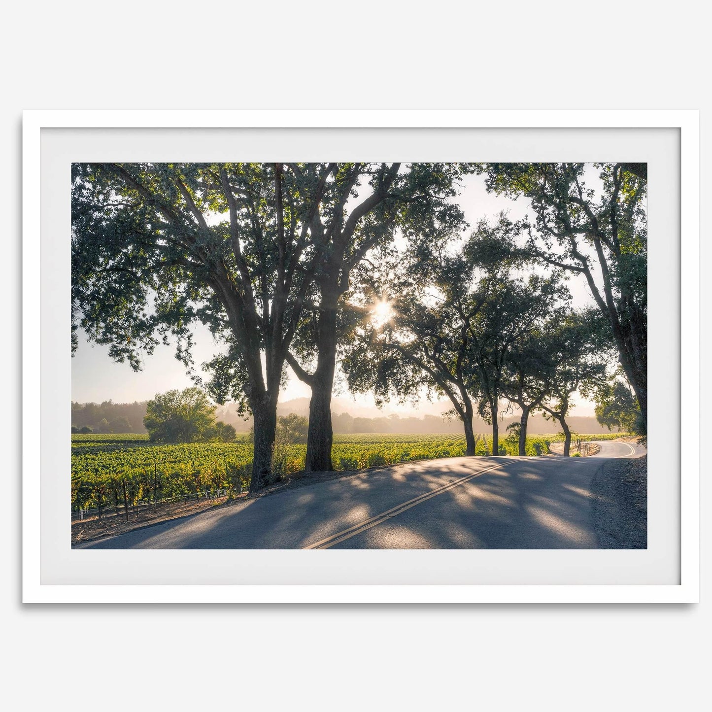 Sonoma Valley