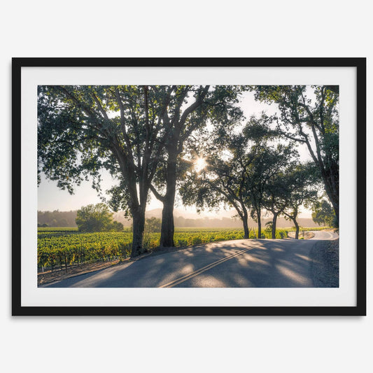Sonoma Valley