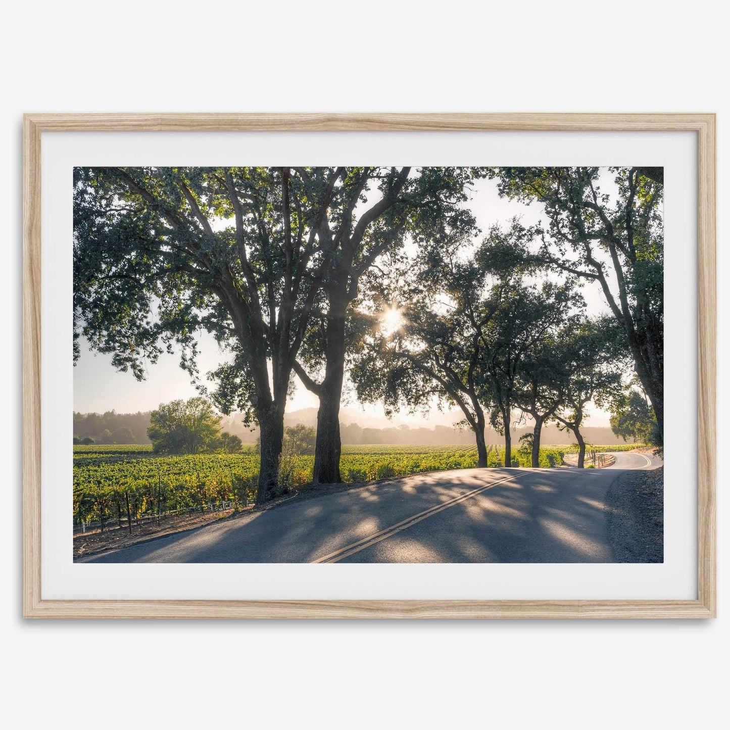 Sonoma Valley