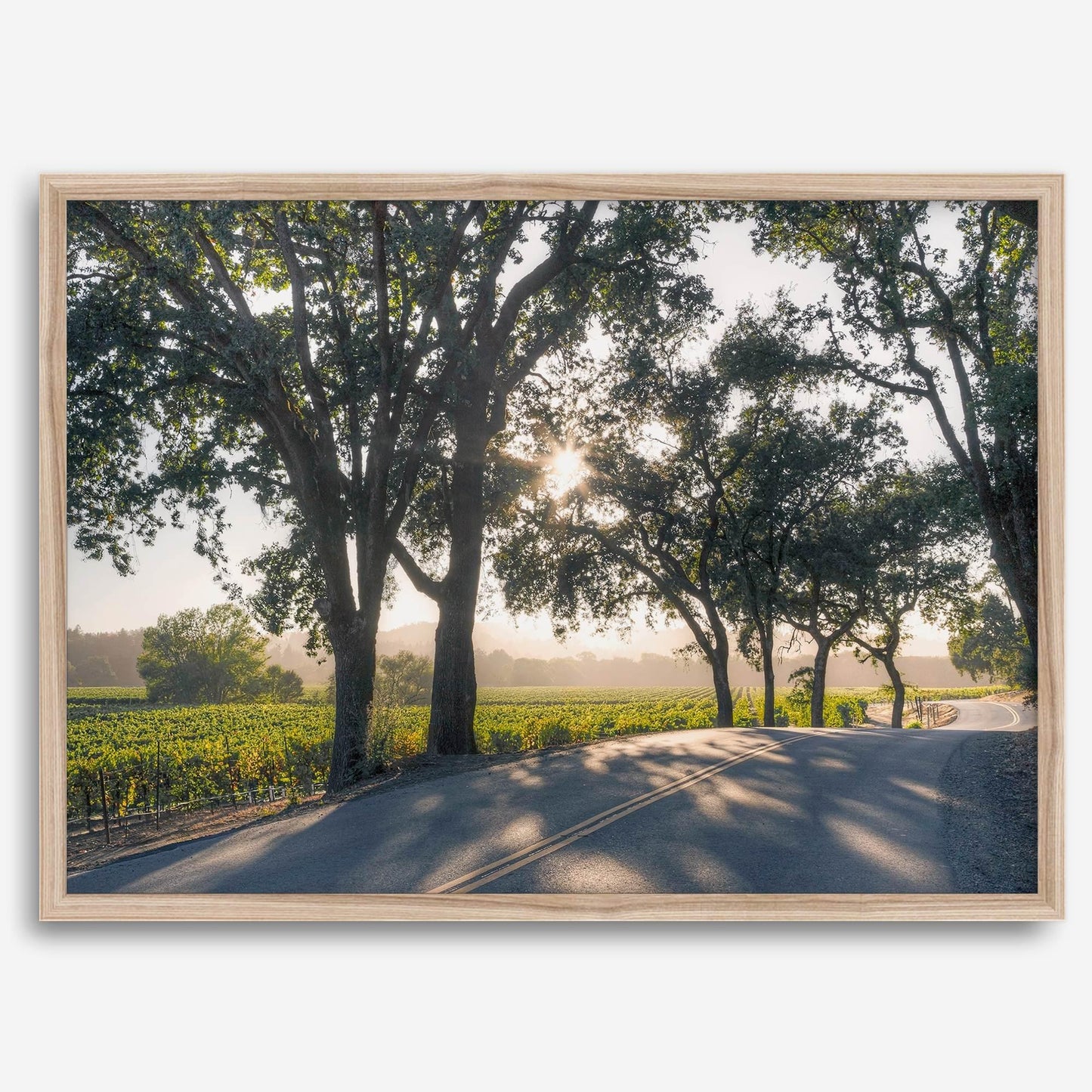 Sonoma Valley