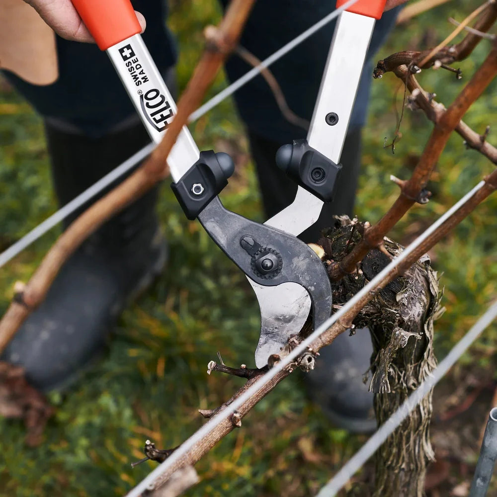 Felco 211-40 Curved cutting head 15.7in Lopper F-211-40