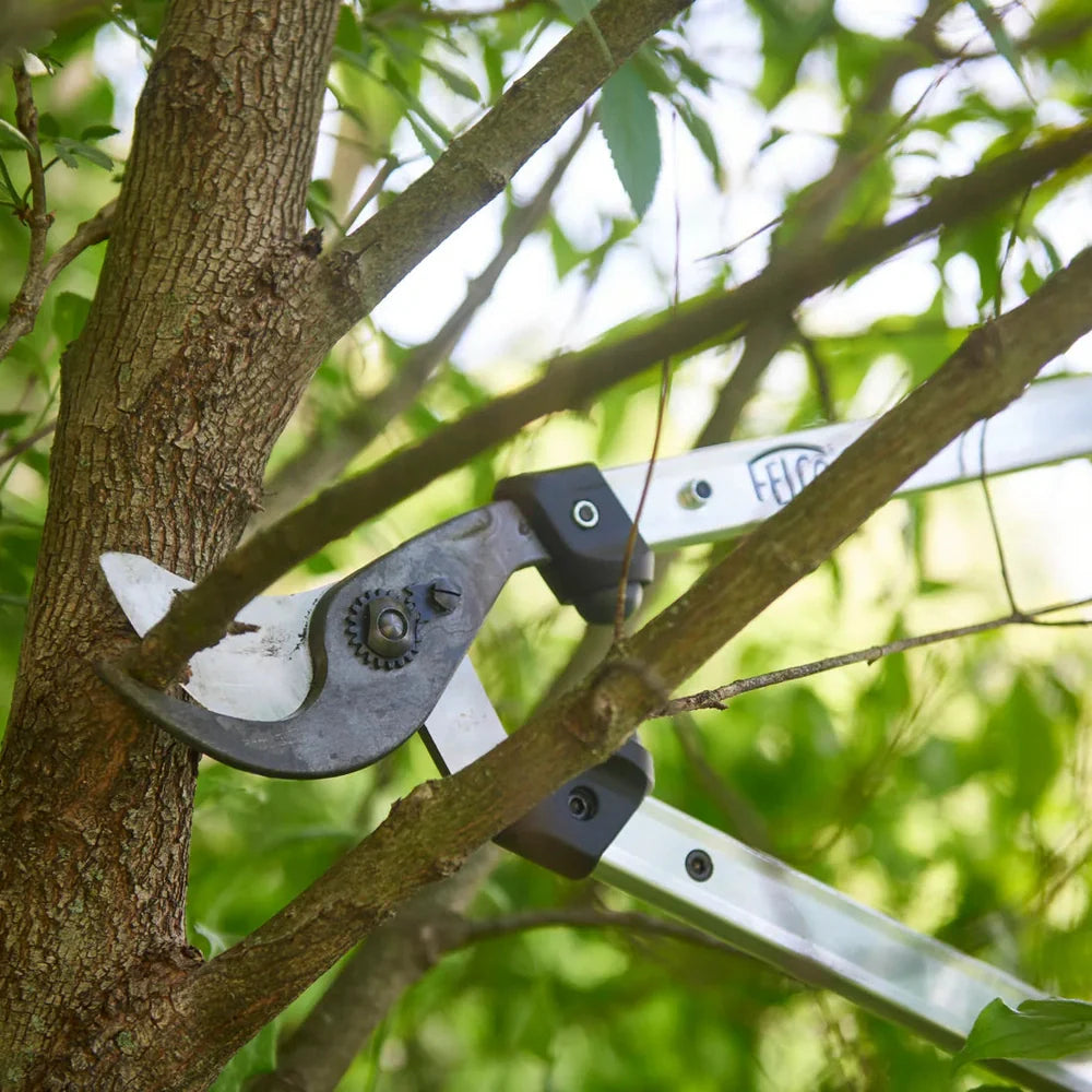 Felco 211-60 Curved cutting head 23.6in Lopper F-211-60