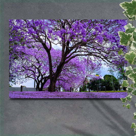 Large tree with purple flowers in a park setting