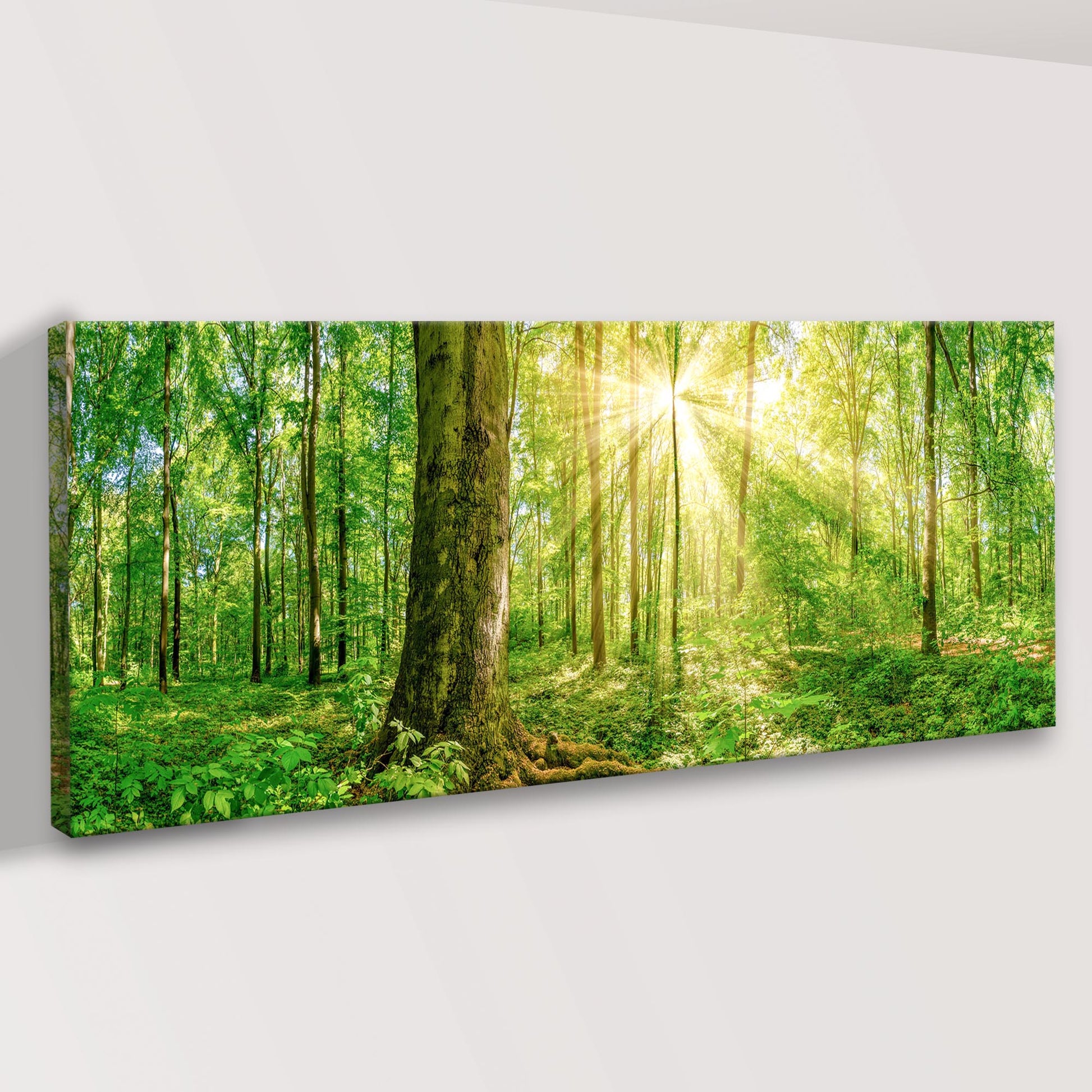 Canvas print of a forest scene with sunlight filtering through the trees.