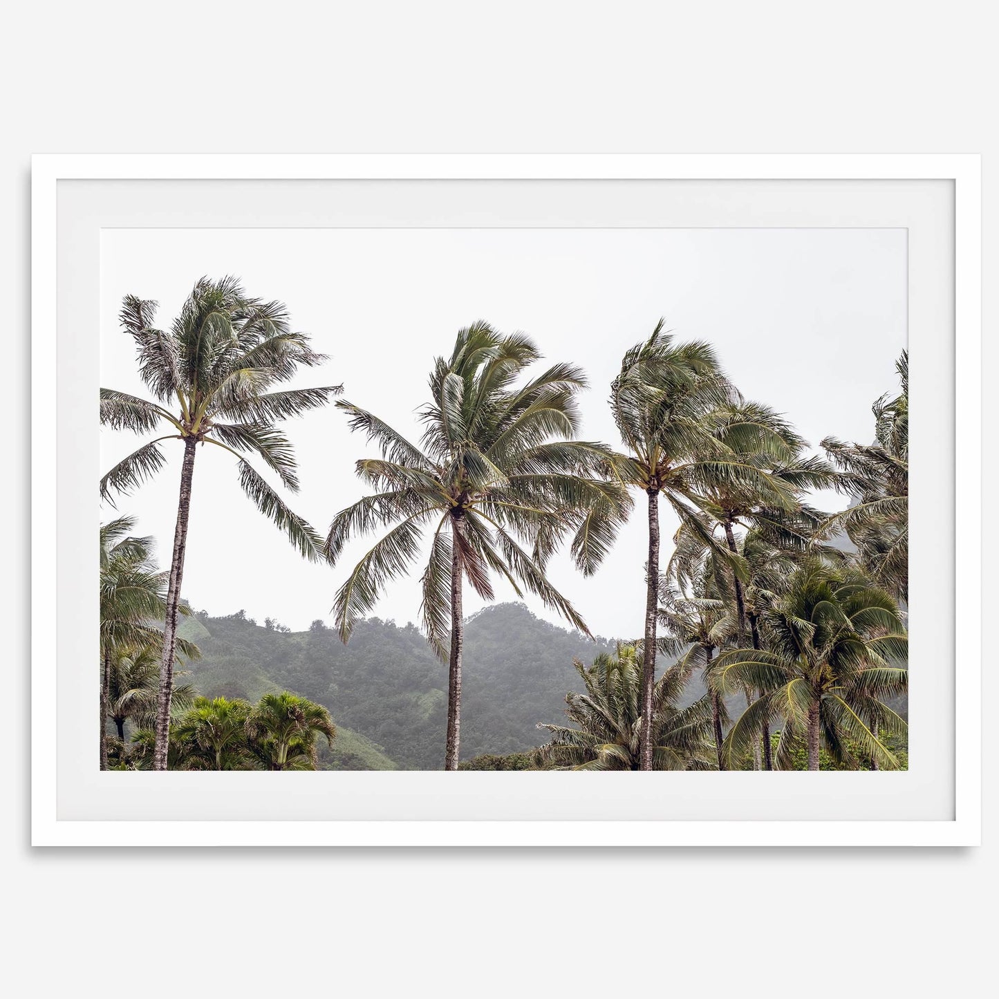 Palms Serenity
