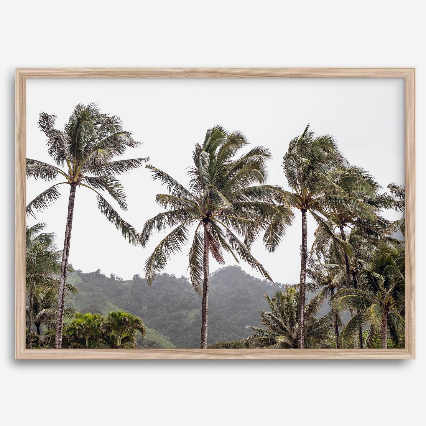 Palms Serenity