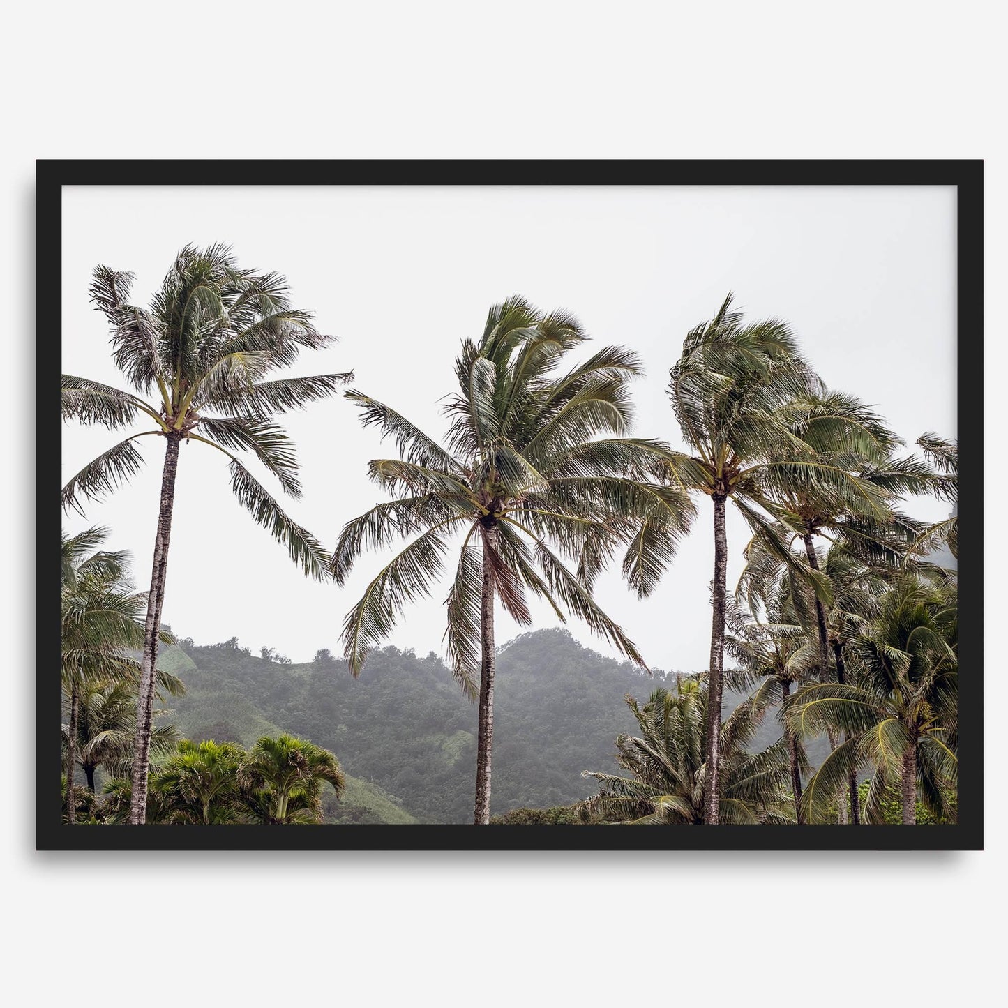 Palms Serenity