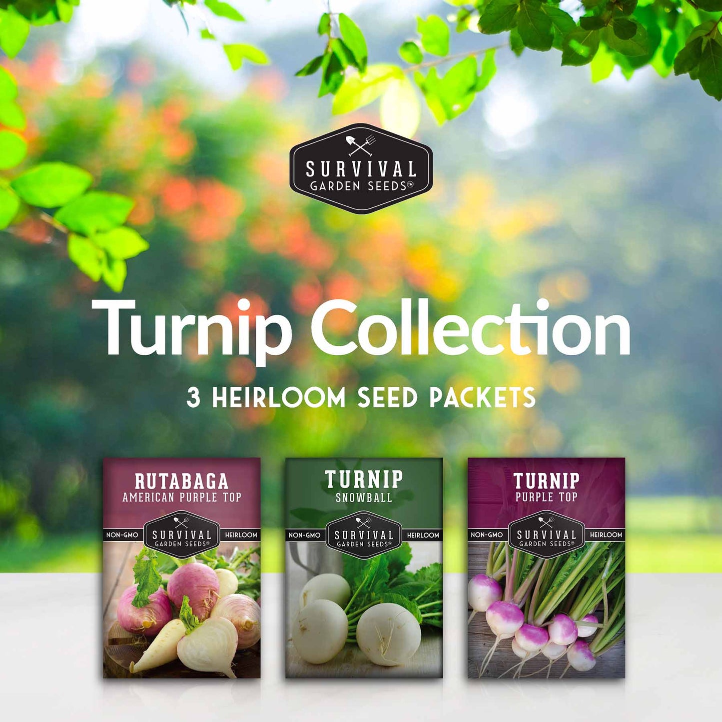 Turnip & Rutabaga Seeds Collection – Heirloom Non-GMO Varieties for Fall & Spring Gardens