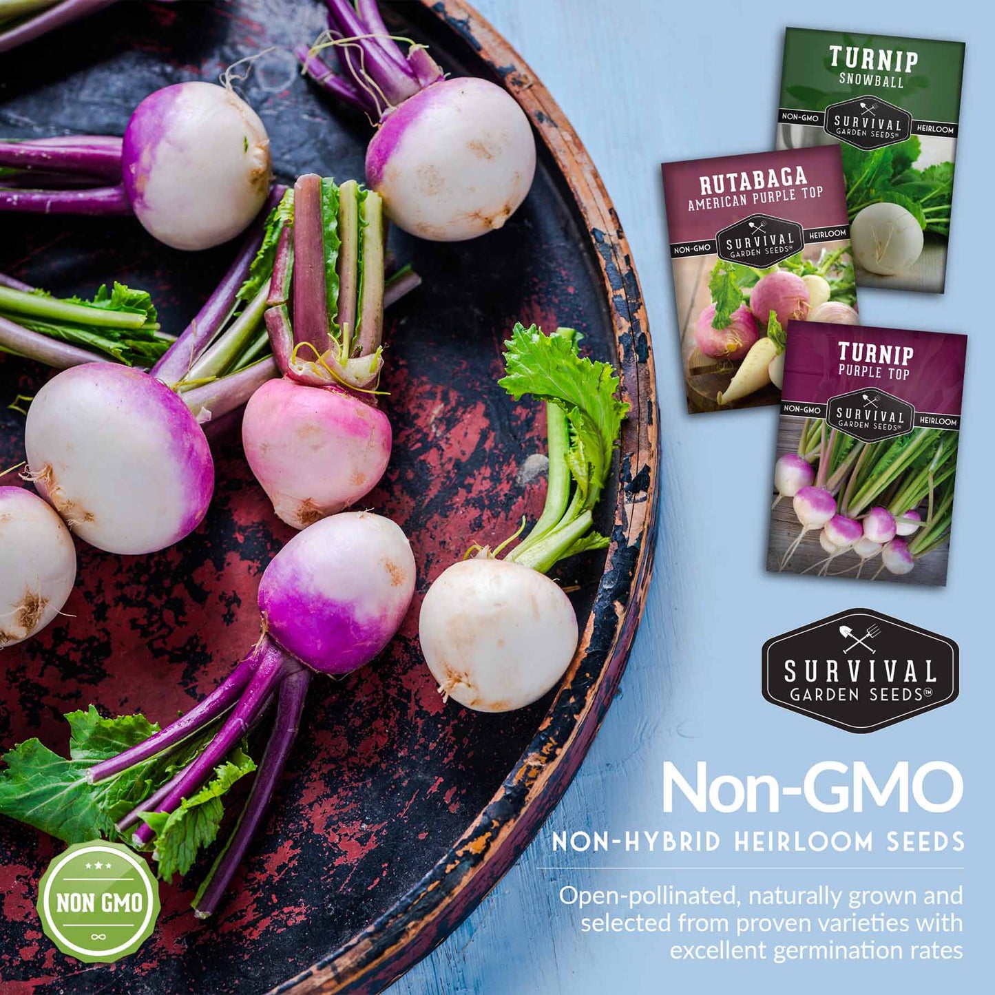 Turnip & Rutabaga Seeds Collection – Heirloom Non-GMO Varieties for Fall & Spring Gardens