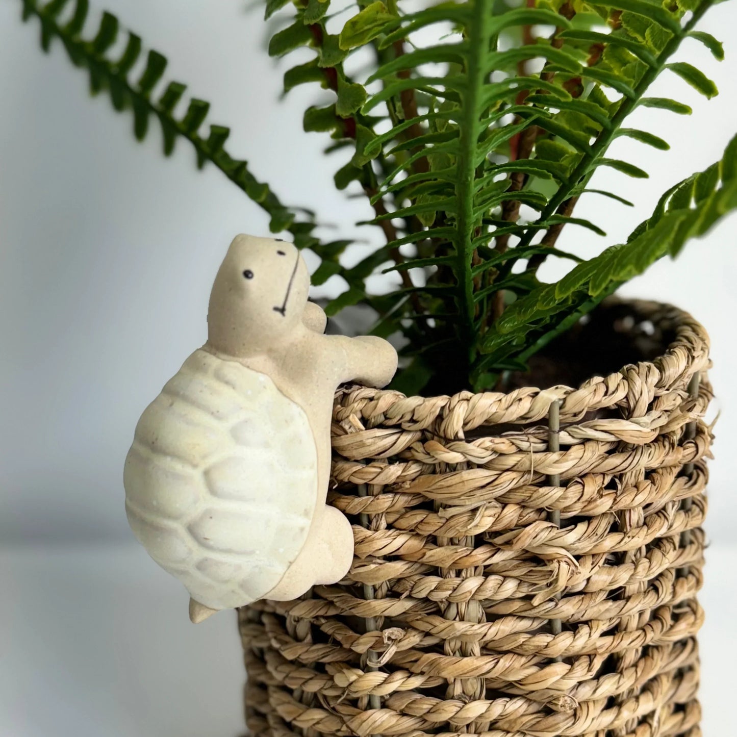Beige Turtle Ceramic Pot Hanger