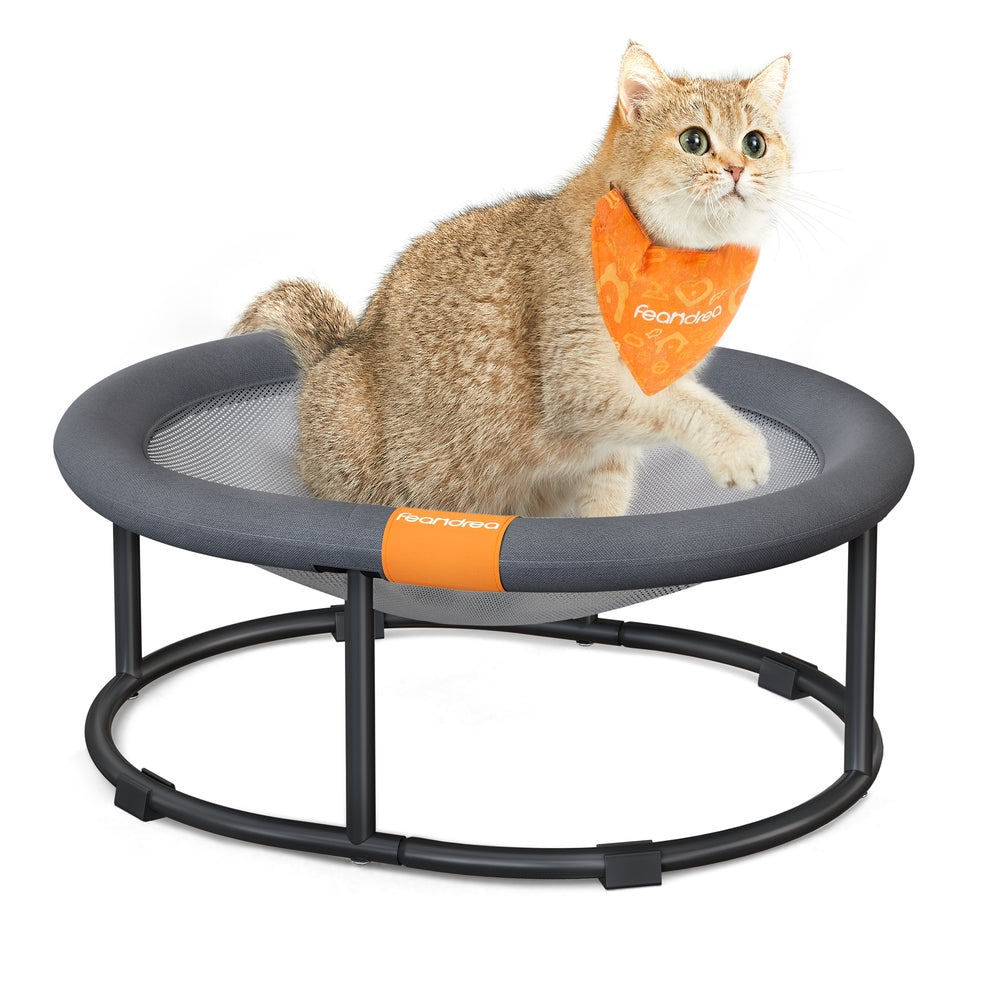 Elevated Oval Dog Bed for Small and Large Dogs Gray