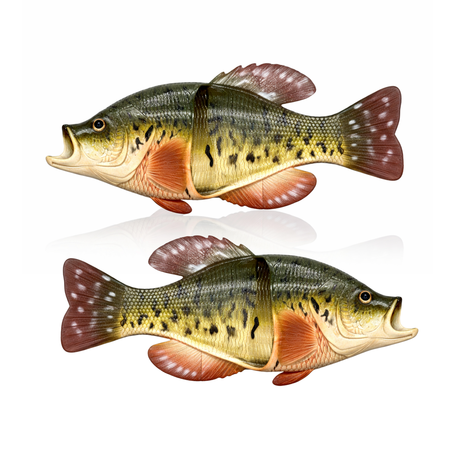 Fish Sandal Adult Large-Crappie