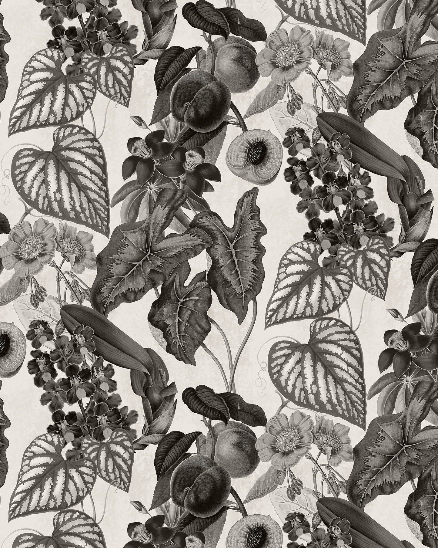 Cali Tropicale Wallpaper, off-white and black