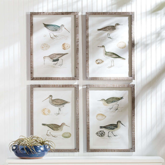 Vintage Coastal Bird Prints Wall Art (Set of 4)
