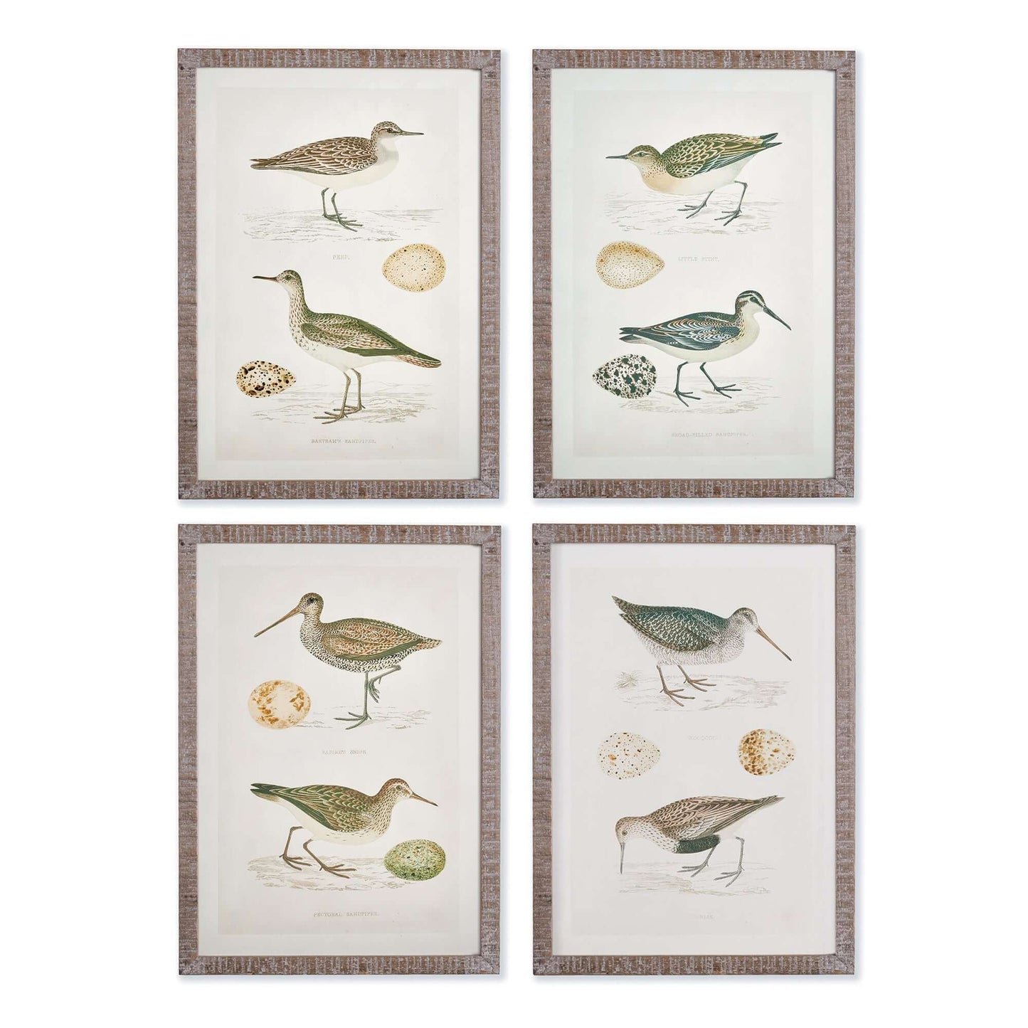 Vintage Coastal Bird Prints Wall Art (Set of 4)