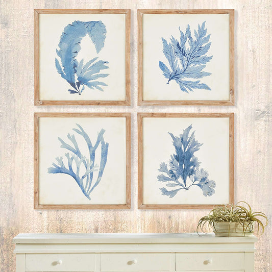 Vintage Coastal Blue Coral Prints with Whitewashed Wood Frames (Set of 4)