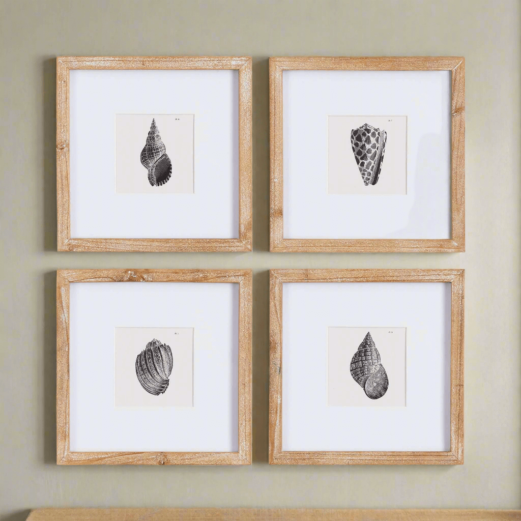 Vintage Coastal Seashell Wall Art Set (Set of 4)