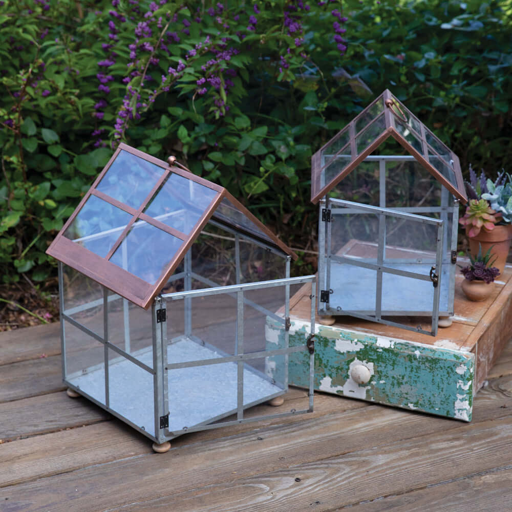 Vintage Farmhouse Glass and Metal Terrariums (Set of 2)