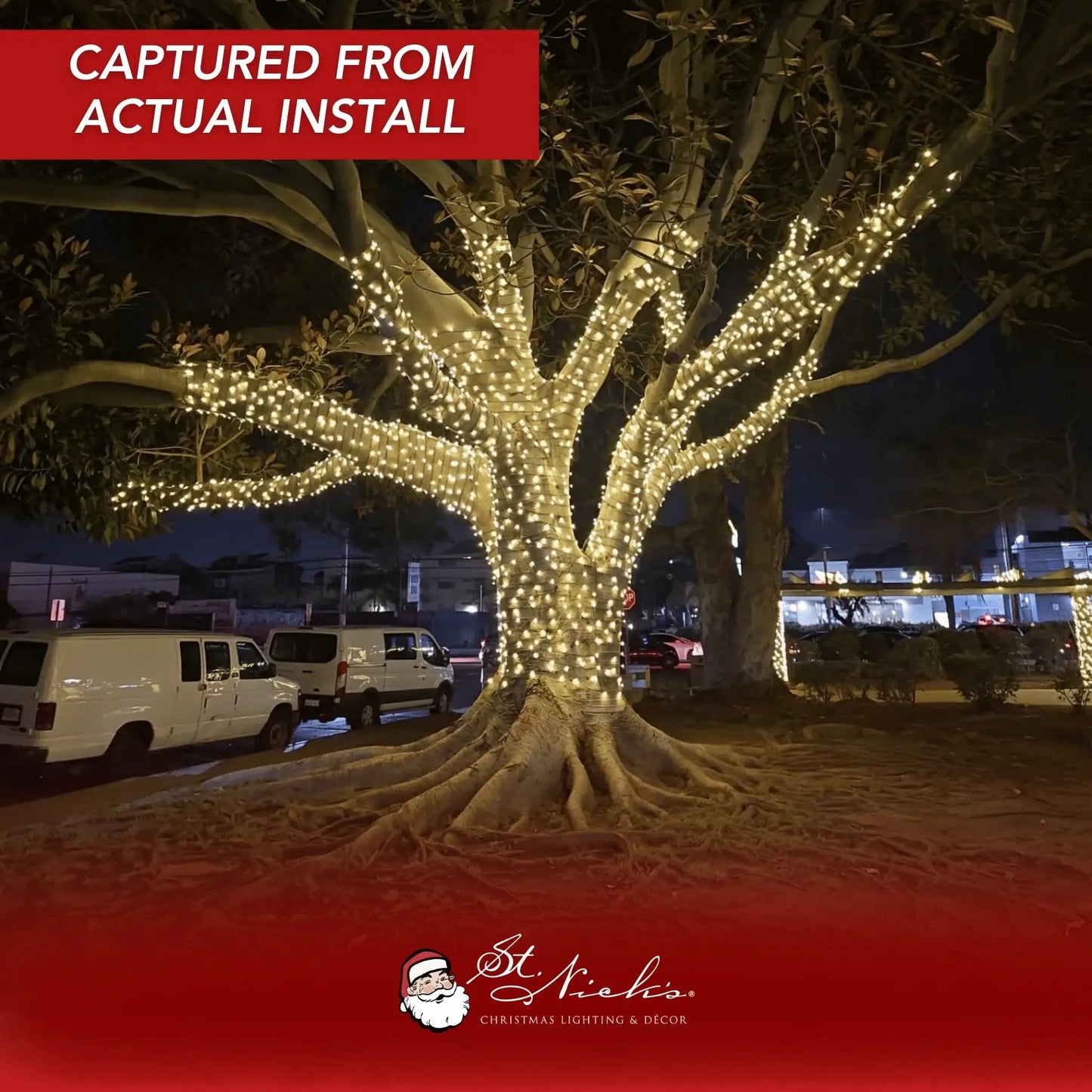 LED Mini Lights 5MM Warm White Static Green Wire 4" Spacing