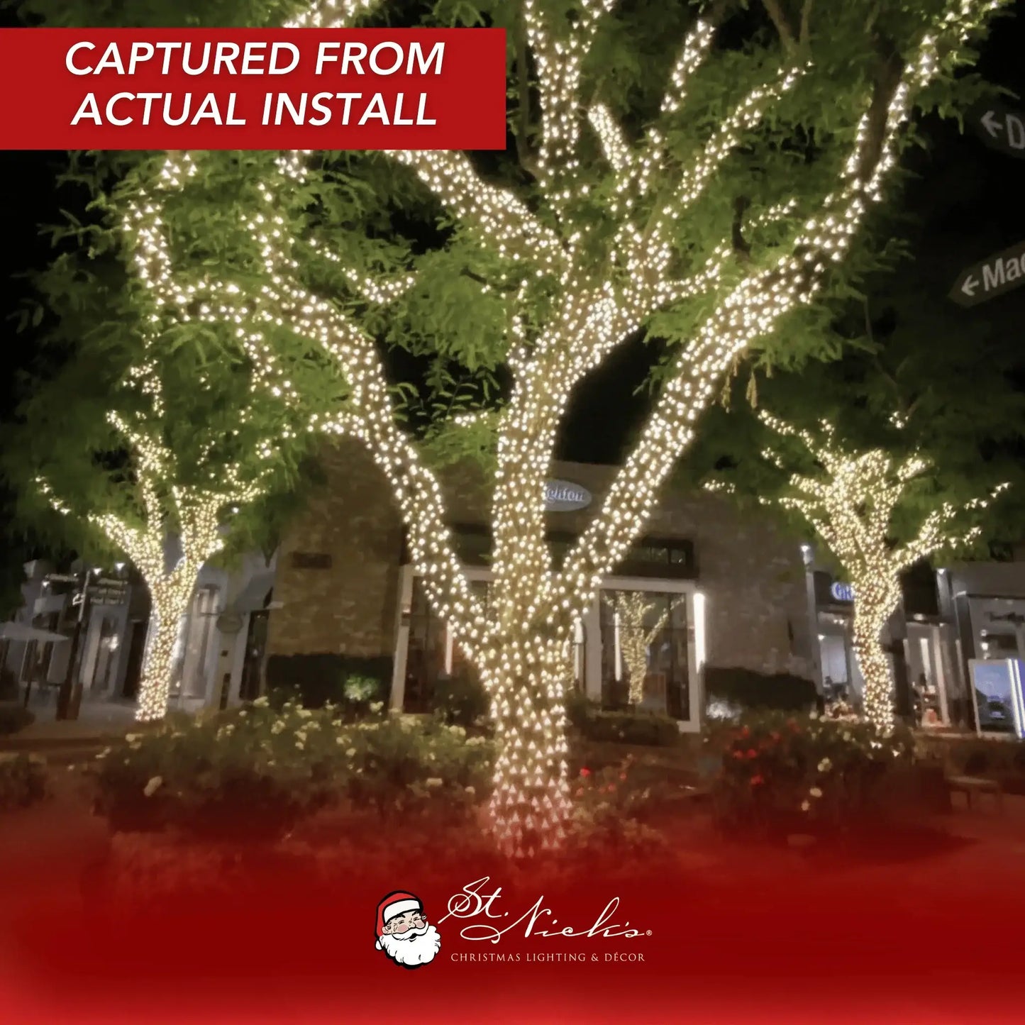 LED Mini Lights 5MM Warm White Static Green Wire - 6" Spacing