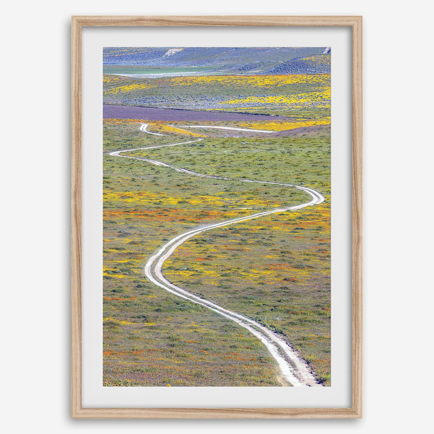 Super Bloom