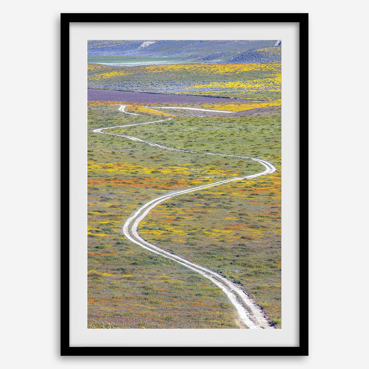 Super Bloom