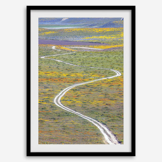 Super Bloom