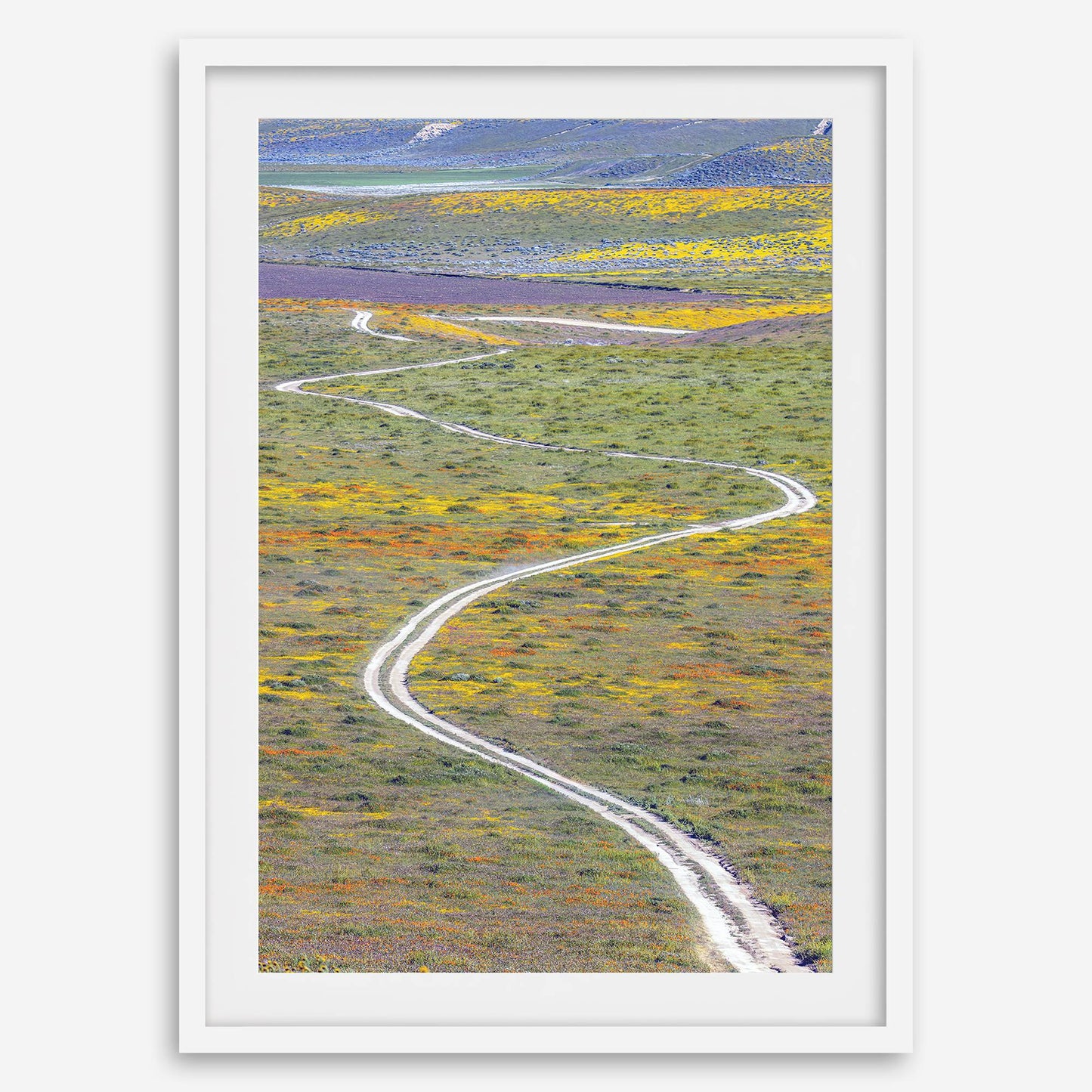 Super Bloom