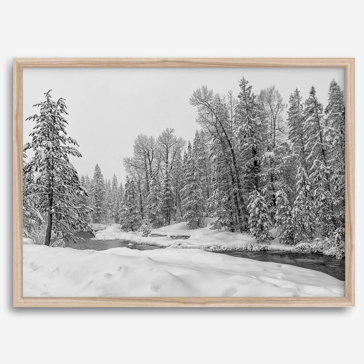 Winter Forest