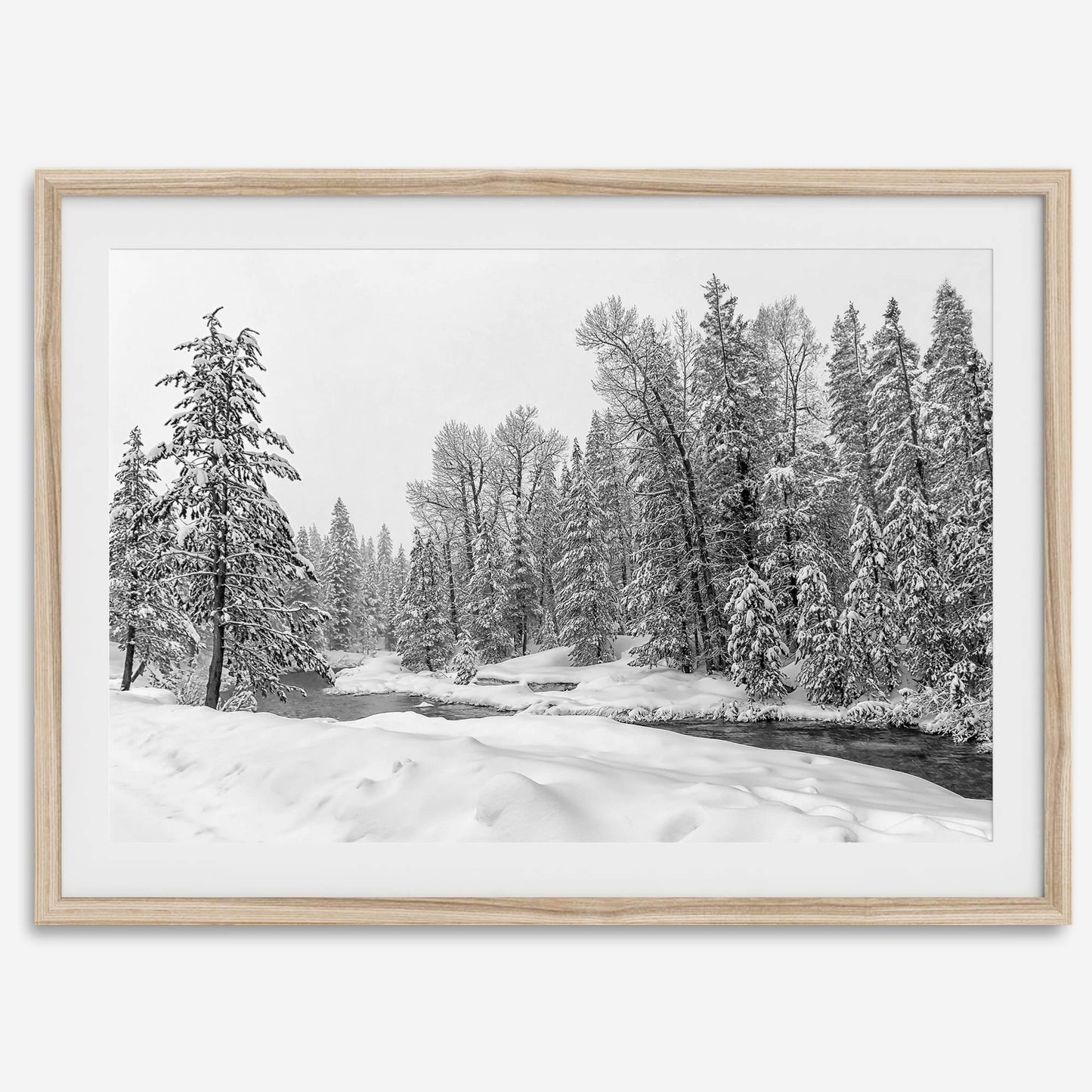 Winter Forest