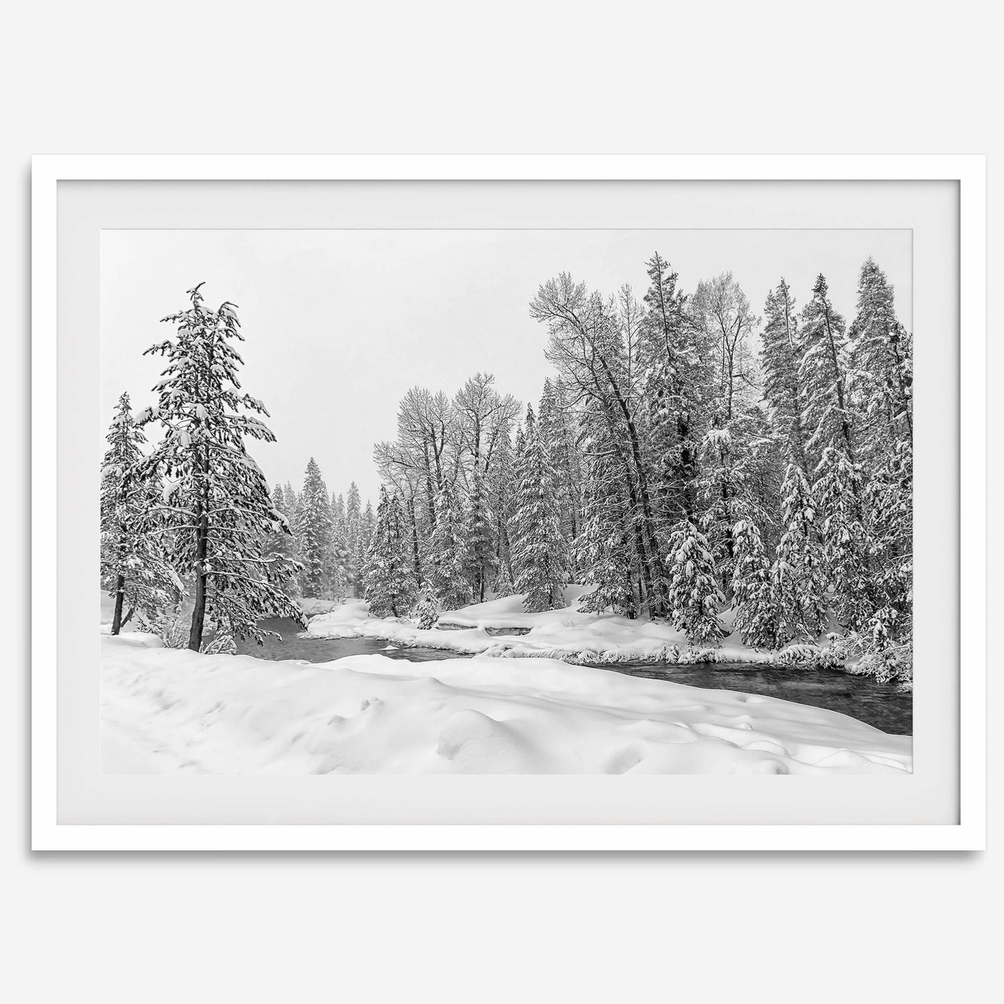 Winter Forest