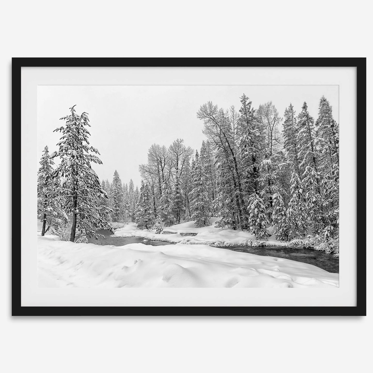 Winter Forest