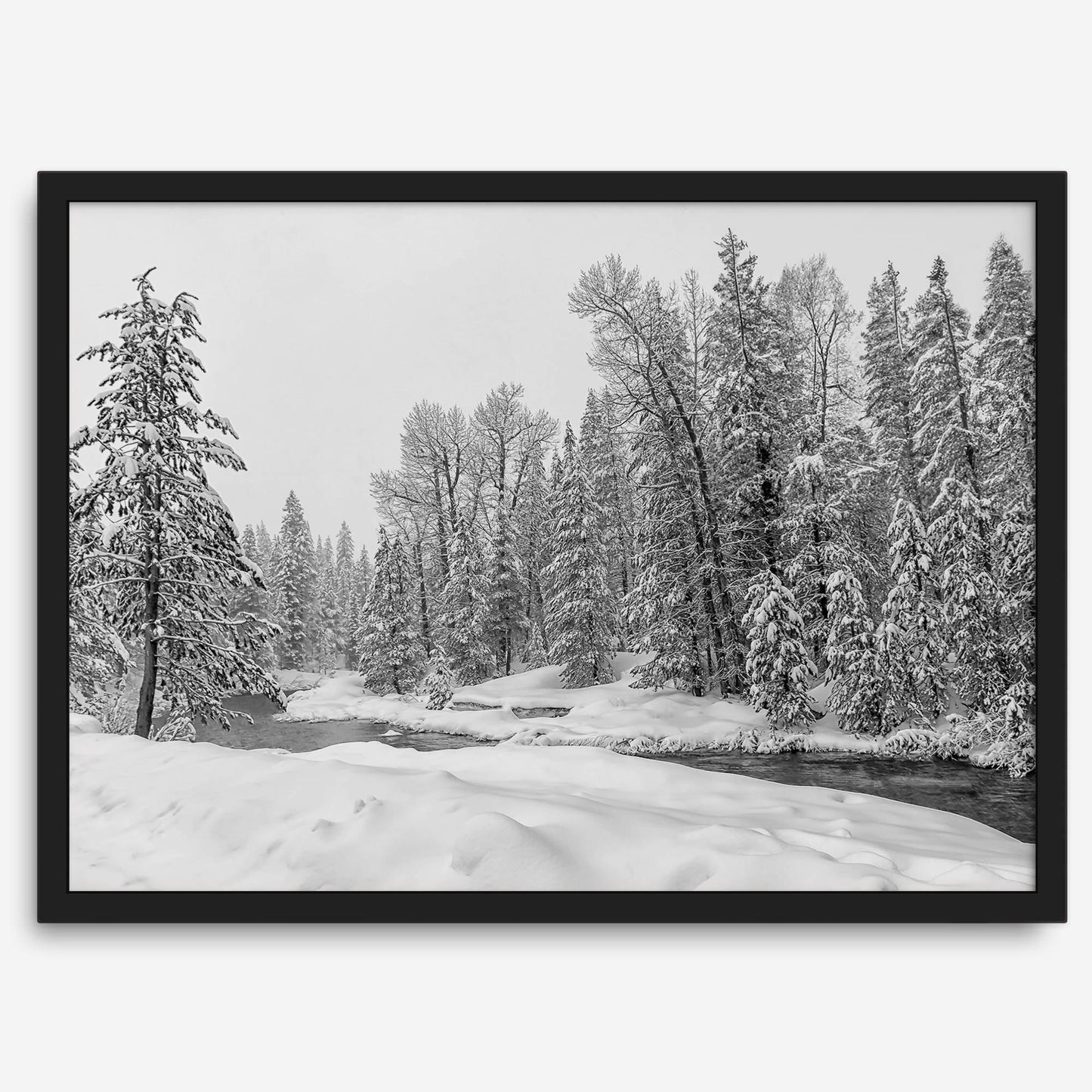 Winter Forest